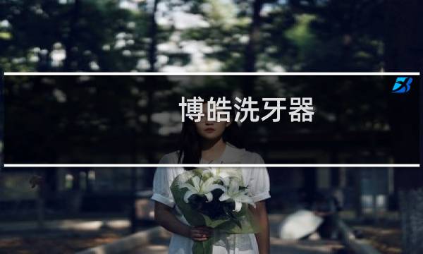 博皓洗牙器 - 博皓冲牙器充电