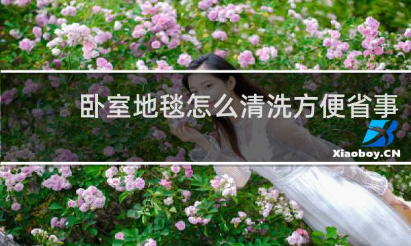 卧室地毯怎么清洗方便省事 - 自己在家怎么洗大块地毯