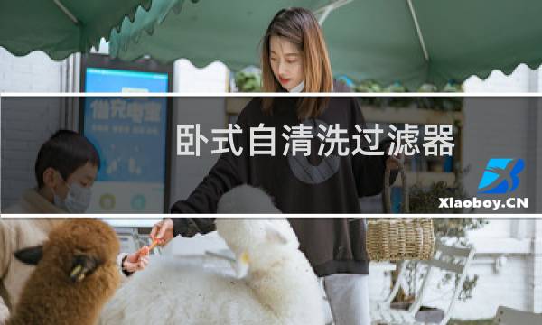 卧式自清洗过滤器 - yamit自清洗过滤器用户手册