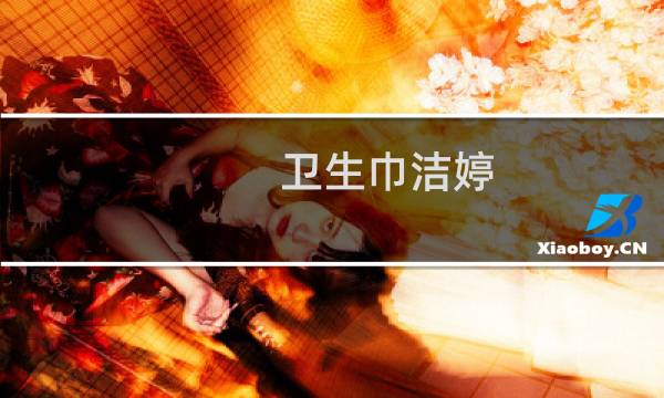 卫生巾洁婷 - 洁婷卫生巾事件