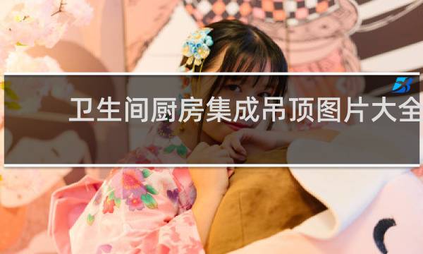 卫生间厨房集成吊顶图片大全 - 厨房集成吊顶样式图片大全
