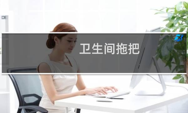 卫生间拖把 - 卫生拖把