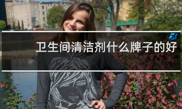 卫生间清洁剂什么牌子的好 - 卫生间清洁剂哪个好用