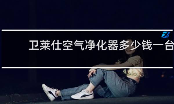 卫莱仕空气净化器多少钱一台 - 卫莱仕空气净化器有用吗
