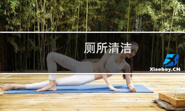 厕所清洁 - 厕所清洁游戏的隐藏剧情