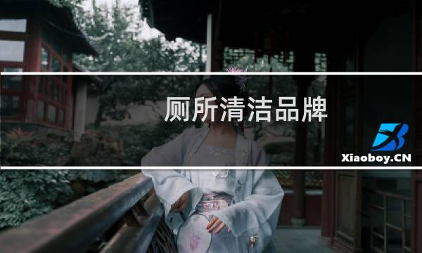 厕所清洁品牌 - 家用洁厕剂什么牌子好