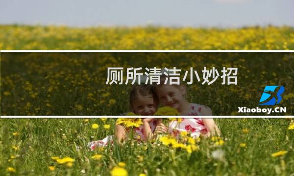 厕所清洁小妙招 - 卫生间打扫又快又干净妙招