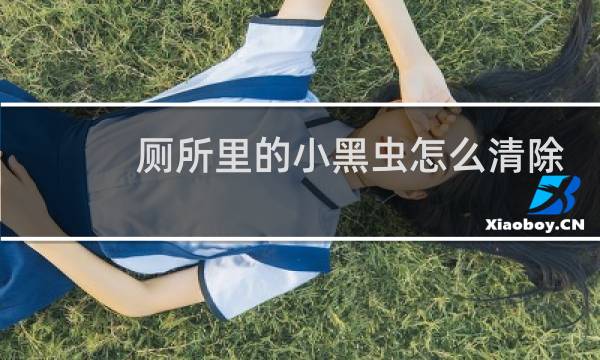 厕所里的小黑虫怎么清除 - 厕所黑色线虫怎么清除