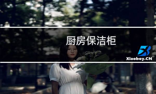 厨房保洁柜 - 厨房保洁柜图片