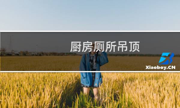 厨房厕所吊顶 - 厨房厕所吊顶在装修