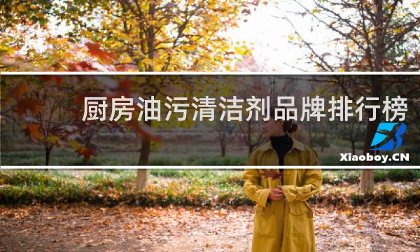 厨房油污清洁剂品牌排行榜 - 厨房重油污用什么牌子清洁剂