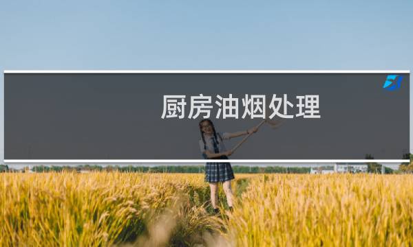 厨房油烟处理 - 厨房油烟
