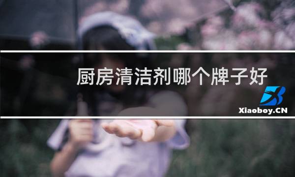 厨房清洁剂哪个牌子好 - 厨房油污清洁剂哪个牌子好