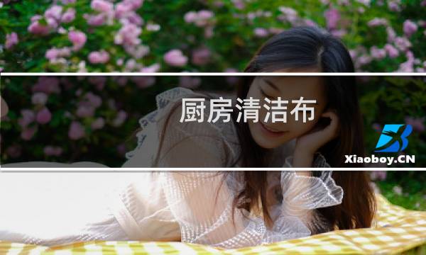 厨房清洁布 - 常见厨房清洁布
