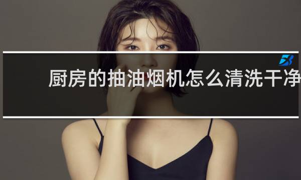 厨房的抽油烟机怎么清洗干净 - 厨房油烟用什么洗干净
