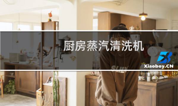 厨房蒸汽清洗机 - 厨房高压蒸汽清洗机