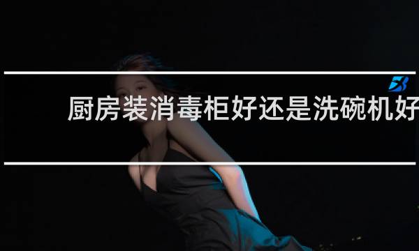 厨房装消毒柜好还是洗碗机好 - 消毒柜vs洗碗机