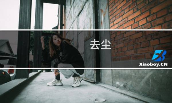 去尘 - 去尘阿汀
