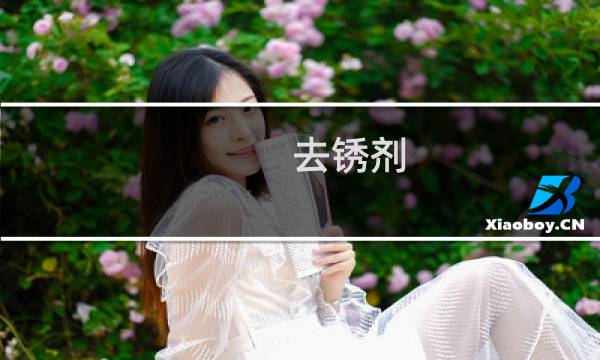 去锈剂 - 什么叫固锈剂