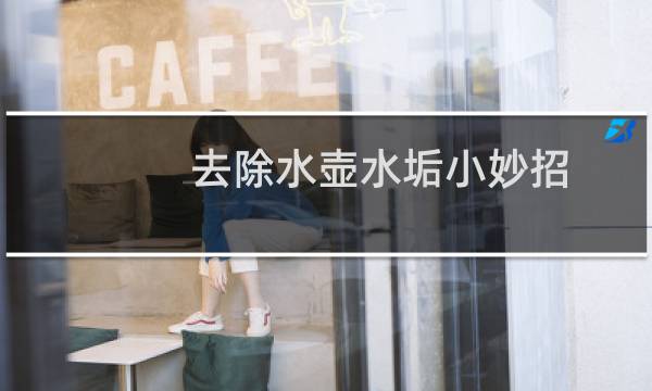 去除水壶水垢小妙招 - 怎样快速去除烧水壶里的水垢
