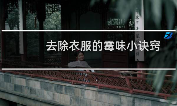 去除衣服的霉味小诀窍 - 库存的衣服怎么去霉味