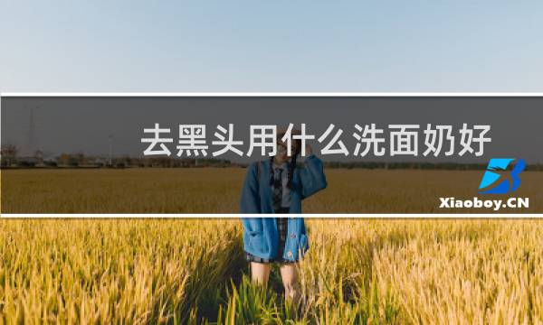 去黑头用什么洗面奶好 - 美白控油去黑头最好的洗面奶