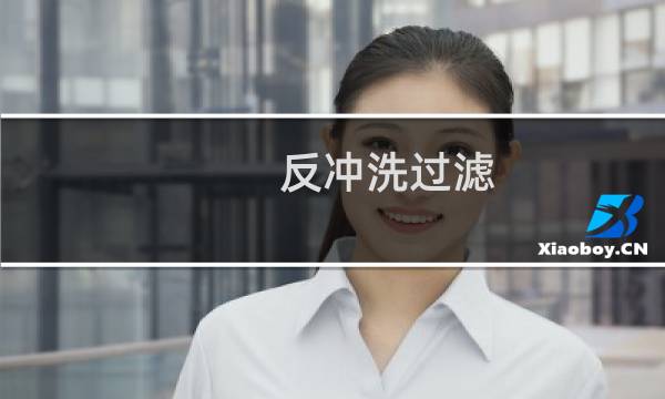 反冲洗过滤 - 反冲洗过滤系统