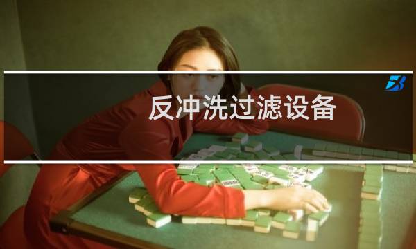 反冲洗过滤设备 -
