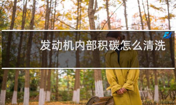 发动机内部积碳怎么清洗 - 发动机积碳清洗