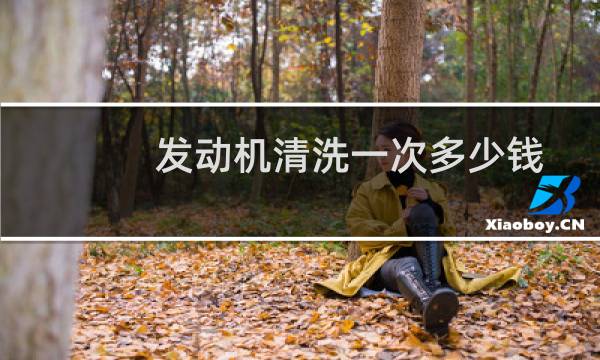 发动机清洗一次多少钱 - 被4s坑了发动机清洗