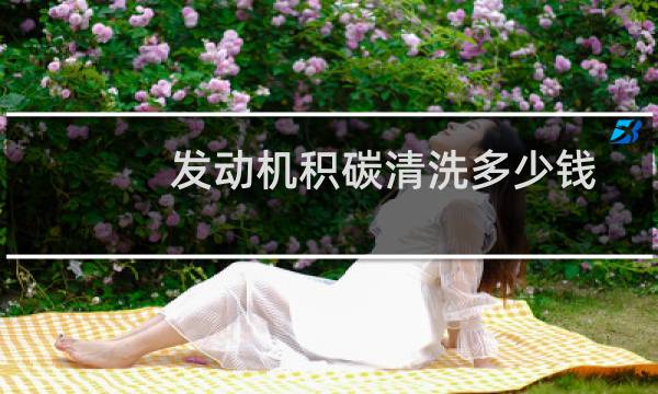 发动机积碳清洗多少钱 - 傲威积碳清洗剂加那里面