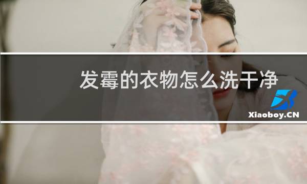 发霉的衣物怎么洗干净 - 衣服生霉斑了怎么洗掉