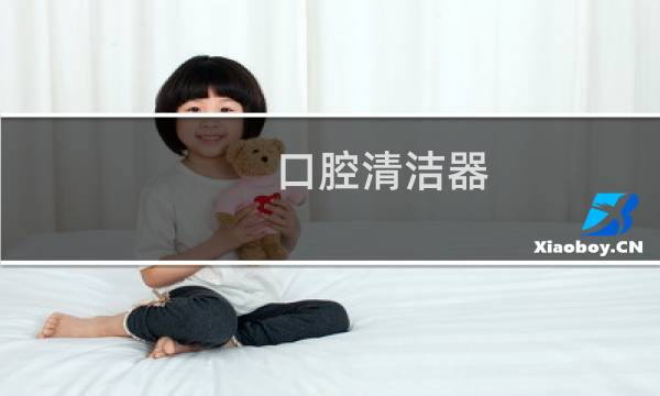 口腔清洁器 - 膣洗净器