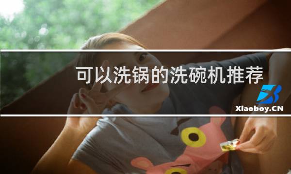 可以洗锅的洗碗机推荐 - 哪种锅可以放洗碗机