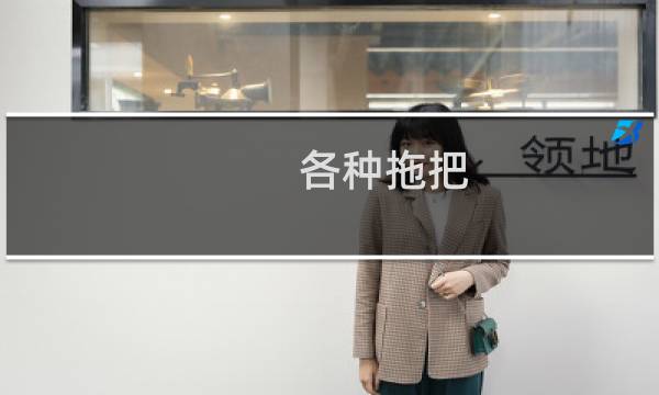 各种拖把 - 学校的拖把怎么用