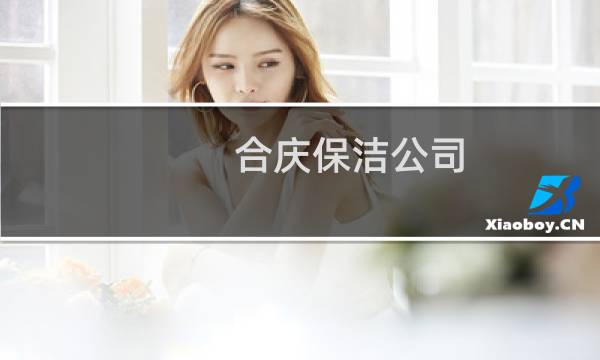 合庆保洁公司 -