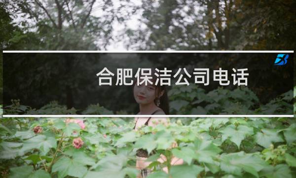 合肥保洁公司电话 - 合肥北城保洁公司电话
