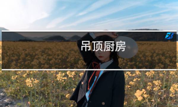 吊顶厨房 - 开放式厨房用什么吊顶好