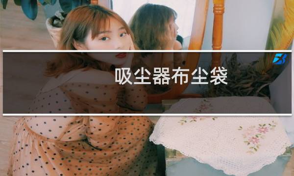吸尘器布尘袋 - 吸尘器尘袋怎么用