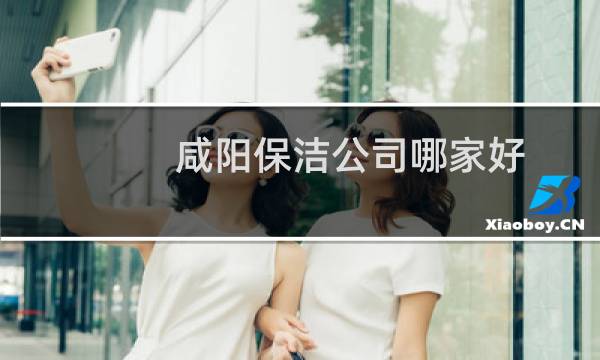 咸阳保洁公司哪家好 - 咸阳保洁公司推荐