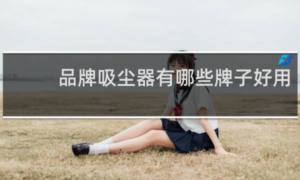 品牌吸尘器有哪些牌子好用 - 口碑最好的家用吸尘器