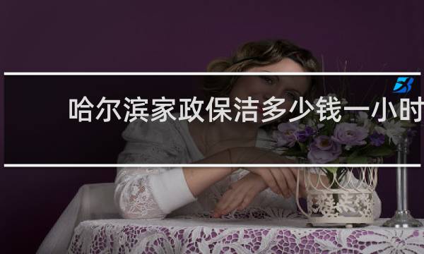 哈尔滨家政保洁多少钱一小时 - 哈尔滨钟点工家政服务