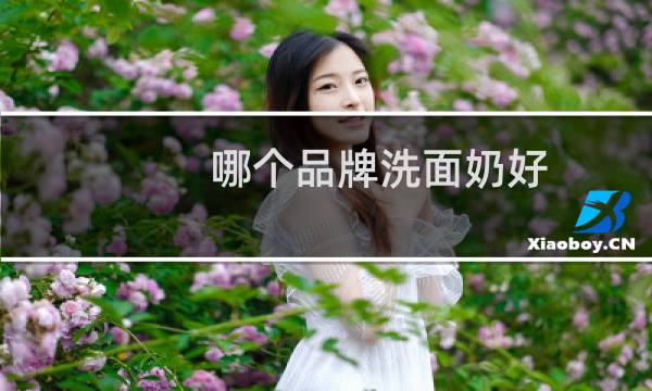 哪个品牌洗面奶好 - 哪个牌子洗面奶最好用