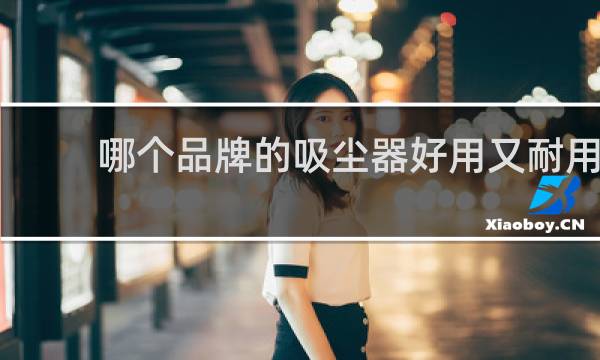 哪个品牌的吸尘器好用又耐用 - 口碑最好的家用吸尘器