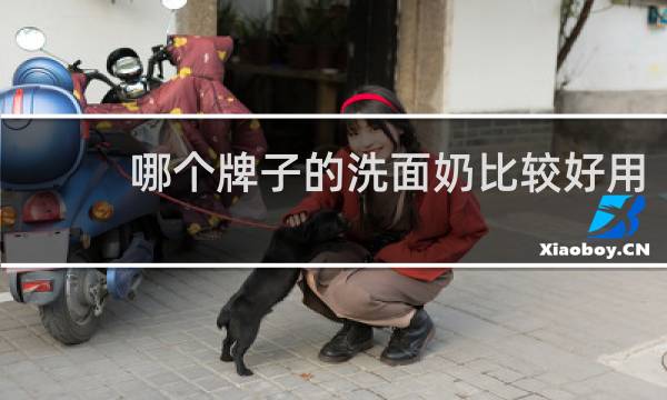 哪个牌子的洗面奶比较好用 - 十大好用洗面奶排行榜