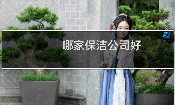 哪家保洁公司好 - 哪个保洁公司服务最好