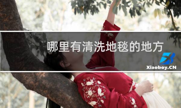 哪里有清洗地毯的地方 - 附近清洗地毯的地方