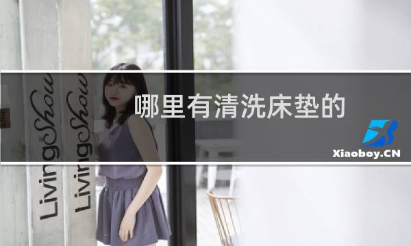 哪里有清洗床垫的 - 有专业清洗床垫的吗