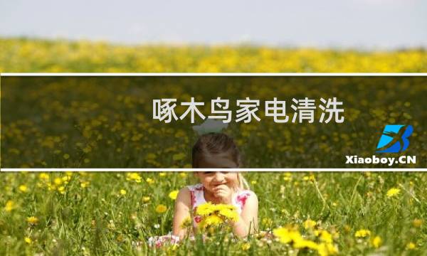啄木鸟家电清洗 - 家电清洗员工工资