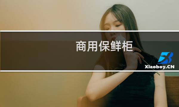 商用保鲜柜 - 展示柜冷藏商用保鲜柜
